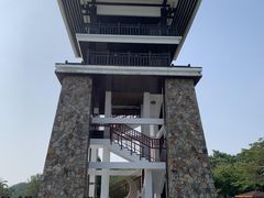 -大湾区中央湿地公园