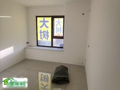-大树装饰·十年本土家装