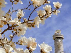 -国家图书馆·古籍馆