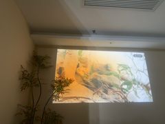 -沐森 •疗愈头疗馆(打浦桥店)