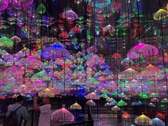 -无锡动物园·太湖欢乐园