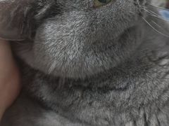 -涿掌柜·涿州宴