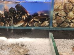 -苏格里岛自助烤肉海鲜火锅(成都金牛万达店)