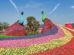 -光明小镇欢乐田园