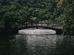 -荔湾湖公园