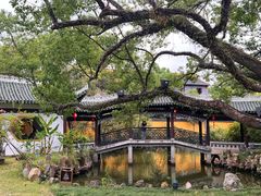-江心屿景区