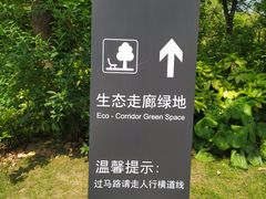 -新江湾城公园