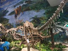 -自贡恐龙博物馆