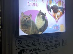 -我爱猫咪·猫咖·狗咖·安哥拉兔·羊驼咖(小寨华旗店)