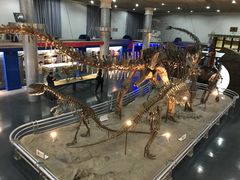 -国家自然博物馆