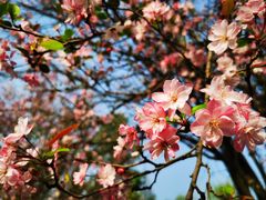 -昆明市金殿名胜区