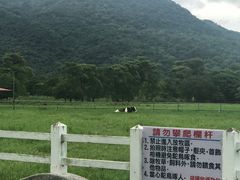 -瑞穗牧场