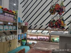 -宝燕乐园(春申店)