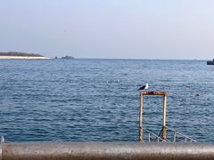 -大连老虎滩海洋公园
