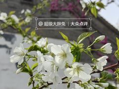 -济南大明湖景区