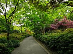 -上海滨江森林公园