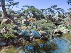 -罗红摄影艺术馆