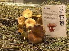 -滇野云南野生菌餐厅(陕西南路店)