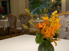 -蝶舍·MAISON PAPILLON