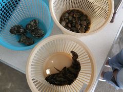 -庆余生平价生猛海鲜(海棠湾林旺夜市店)