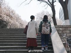 -山东师范大学(千佛山校区)