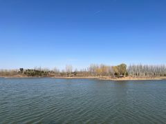 -东郊湿地公园