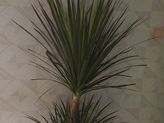 -时代Party·K(三湘商业广场店)