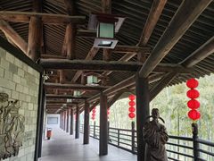 -大唐贡茶院