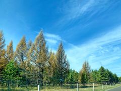 -塞罕坝国家级自然保护区