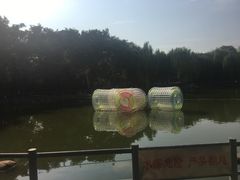 -莲湖公园