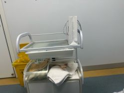 -温州伯思立医院