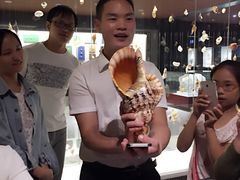 -青岛贝壳博物馆
