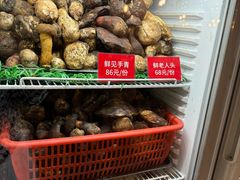 -太婆天府山珍酒楼(亚运村店)