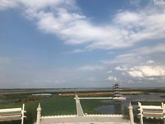 -呼兰河口湿地公园