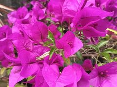-顺兴老茶馆·精品川菜(世纪城店)