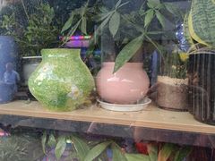 -万卉源鲜花店(百尚生活广场店)