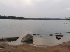 -长春市南湖公园