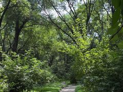 -长春市南湖公园