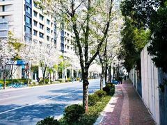 -象屿大宁悦府