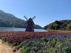 -广州市石门国家森林公园