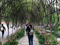 这个长廊进了景区大门不远就看到了-木兰云雾山