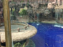 -长鹿旅游休博园
