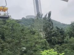 -富斯特索道