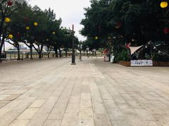 -闽江夜游台江旅游码头