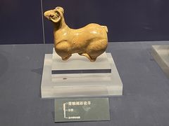 -温州博物馆