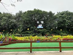 -广州长隆飞鸟乐园