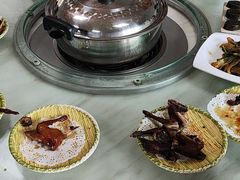 -麻奢鸽农庄·梦里水乡