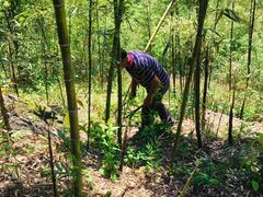 -东天目山风景区