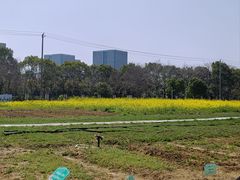 -江南大学(蠡湖校区)