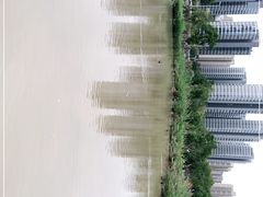 -牛岗山公园